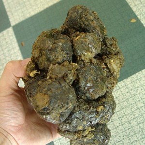 【蜂胶原胶】蜂胶原胶价格/图片_蜂胶原胶批发/采购_蜂胶原胶厂家/供应商
